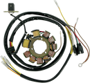 RICK'S MOTORSPORT ELECTRIC Stator 21-555