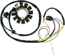 RICK'S MOTORSPORT ELECTRIC Stator 21-556