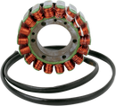 RICK'S MOTORSPORT ELECTRIC Stator - Aprilia 21-008