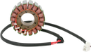 RICK'S MOTORSPORT ELECTRIC Stator - Ducati 21-009