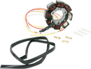RICK'S MOTORSPORT ELECTRIC Stator - Honda 21-615H
