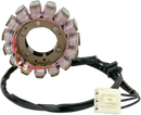 RICK'S MOTORSPORT ELECTRIC Stator - Kawasaki 21-231