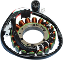 RICK'S MOTORSPORT ELECTRIC Stator - Yamaha 21-921