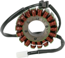 RICK'S MOTORSPORT ELECTRIC Stator - Kawasaki 21-236