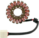 RICK'S MOTORSPORT ELECTRIC Stator - Yamaha 21-418