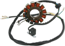 RICK'S MOTORSPORT ELECTRIC Stator 21-562