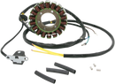 RICK'S MOTORSPORT ELECTRIC Stator 21-563