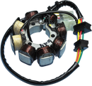 RICK'S MOTORSPORT ELECTRIC Stator - Honda 21-624