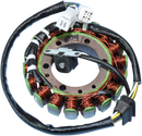 RICK'S MOTORSPORT ELECTRIC Stator - Suzuki 21-809