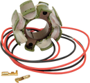 RICK'S MOTORSPORT ELECTRIC Stator - Suzuki 21-811