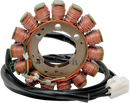 RICK'S MOTORSPORT ELECTRIC Stator - Ducati 21-017