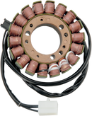 RICK'S MOTORSPORT ELECTRIC Stator - Ducati 21-025
