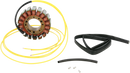 RICK'S MOTORSPORT ELECTRIC Stator - Can-Am 21-056
