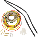 RICK'S MOTORSPORT ELECTRIC Hot Shot Stator - KTM 21-0099H