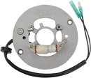 RICK'S MOTORSPORT ELECTRIC Stator - Yamaha 21-926