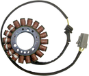 RICK'S MOTORSPORT ELECTRIC Stator - Buell 21-040H
