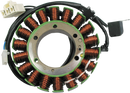 RICK'S MOTORSPORT ELECTRIC Stator - Suzuki 21-335