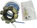 RICK'S MOTORSPORT ELECTRIC Stator - Honda 21-636