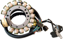 RICK'S MOTORSPORT ELECTRIC Stator - Yamaha 21-933