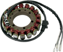 RICK'S MOTORSPORT ELECTRIC Stator - Kawasaki 21-204