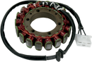 RICK'S MOTORSPORT ELECTRIC Stator - Kawasaki 21-205