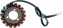RICK'S MOTORSPORT ELECTRIC Stator - Kawasaki 21-206