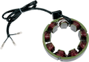 RICK'S MOTORSPORT ELECTRIC Stator - Kawasaki 21-208