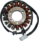 RICK'S MOTORSPORT ELECTRIC Stator - Kawasaki 21-210