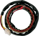 RICK'S MOTORSPORT ELECTRIC Stator - Honda 21-101