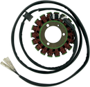 RICK'S MOTORSPORT ELECTRIC Stator - Suzuki 21-301
