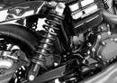 LEGEND SUSPENSION Revo Coil Suspension - 14" - Black - Standard 1310-1096