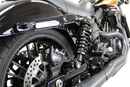 LEGEND SUSPENSION REVO-A Adjustable Dyna Coil Suspension - 14" - Clear Anodized - Standard 1310-1607