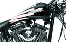 Bikers Choice 489750 4.2 Gallon One-Piece Stretched Fuel Tank for Harley Davidson Softail (1990-1991)