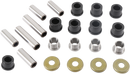 MOOSE OFFROAD Suspension Kit - Rear - Independent 50-1181
