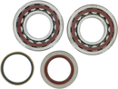 MOOSE OFFROAD Crank Bearings and Seals - KTM 24-1106