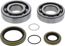 MOOSE OFFROAD Crank Bearings and Seals - Gas Gas/Rieju 24-1118