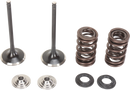 MOOSE OFFROAD Valve and Spring Kit - Honda CRF450R M30-32060