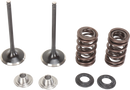 MOOSE OFFROAD Valve and Spring Kit - Kawasaki KX250F M40-40350