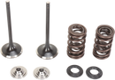 MOOSE OFFROAD Valve and Spring Kit - Suzuki RMZ250 M60-60470