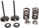MOOSE OFFROAD Valve and Spring Kit - Suzuki LTR450 Quad Racer M60-60850