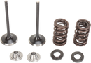 MOOSE OFFROAD Valve and Spring Kit - Suzuki RMZ250 M60-61160