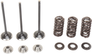 MOOSE OFFROAD Valve and Spring Kit - Yamaha WR250F | YZ250F M80-80850