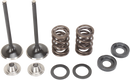 MOOSE OFFROAD Valve and Spring Kit - KTM RFS Engines 400 cc - 560 cc M96-96070