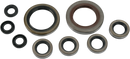 MOOSE OFFROAD Motor Oil Seals - Polaris/KTM 822335mse
