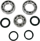 MOOSE OFFROAD Differential Bearing/Seal Kit - Kawasaki - Rear 25-2062