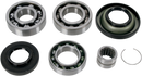 MOOSE OFFROAD Differential Bearing/Seal Kit - Honda - Rear 25-2067