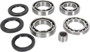 MOOSE OFFROAD Differential Bearing/Seal Kit - Rear - Arctic Cat/Textron 25-2101