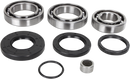 MOOSE OFFROAD Differential Bearing/Seal Kit - Rear - KVF 300 25-2102