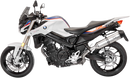 LEOVINCE LV One EVO Slip-On Muffler - BMW 800 - Stainless Steel 14356EU