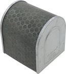 HIFLOFILTRO Replacement Air Filter - Honda HFA1509